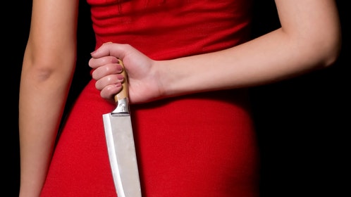 Internet falling for alleged Brazilian serial killer Ana Paula Veloso Fernandes