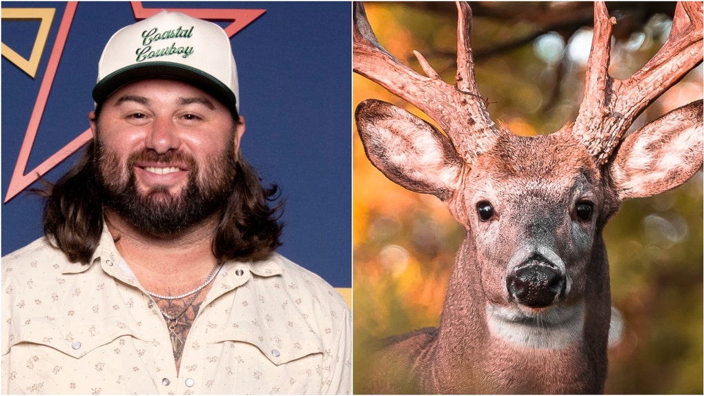 Koe Wetzel killed a massive buck in Colorado. (Photo by Ed Rode/Getty Images for Spotify and Getty Images Creatives)