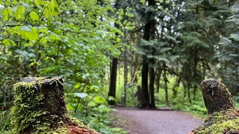 Air Force veteran spotted a Bigfoot near State College