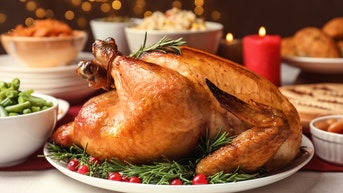 PETA's turkey protest tries to sell Thanks-vegan