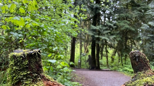 Air Force veteran spotted a Bigfoot near State College