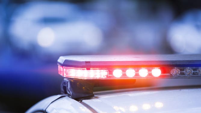 Shoplifters brawl with employees at liquor store