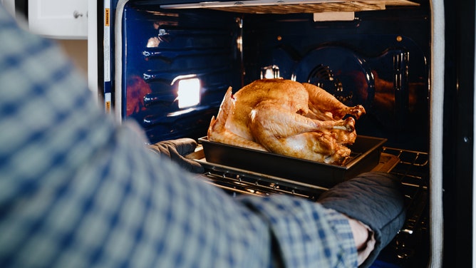 PETA failed Thanksgiving turkey protest