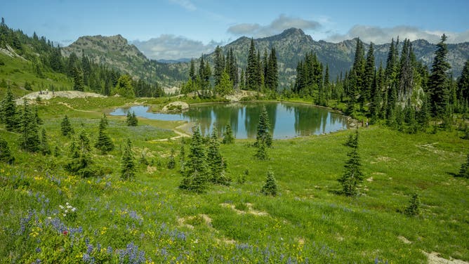 Oregon hunter has encounter with Bigfoot