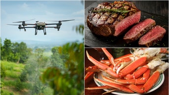 Drone, steak, and crab legs
