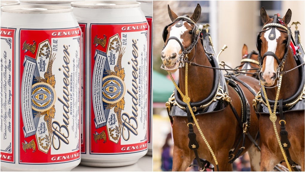 Budweiser (Credit: Getty Images Creatives)