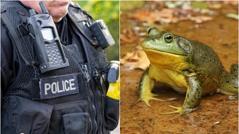 Police officer and a frog