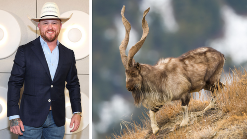 Cody Johnson Harvests Massive Markhor During Texas Ranch Hunt