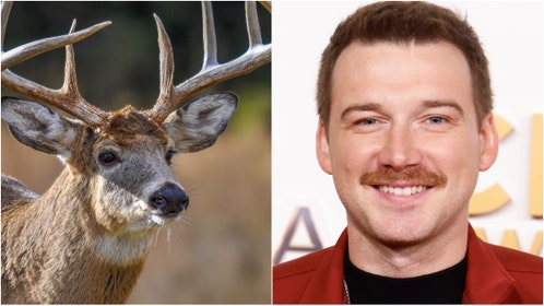 Morgan Wallen kills monster buck. (Photo by Taylor Hill/WireImage via Getty Images and Getty Images Creatives)