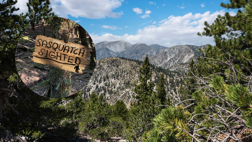 California Bigfoot camping trip