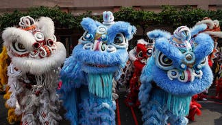 Lunar New Year Dragons