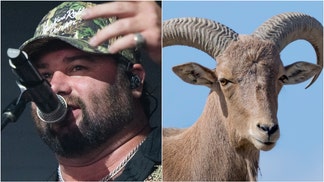 Koe Wetzel killed an aoudad in Texas. (Photo by Scott Dudelson/Getty Images for Stagecoach and Getty Images Creatives)