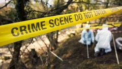 Wayne county murders