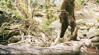 Bigfoot sighting Oklahoma