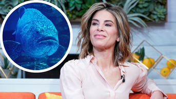 Jillian Michaels Battles 400-Pound Goliath Grouper In Wild Fishing Video