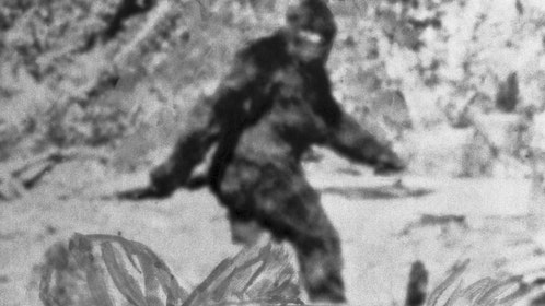 30 year police veteran witness to Bigfoot sighting near Myrtle Beach