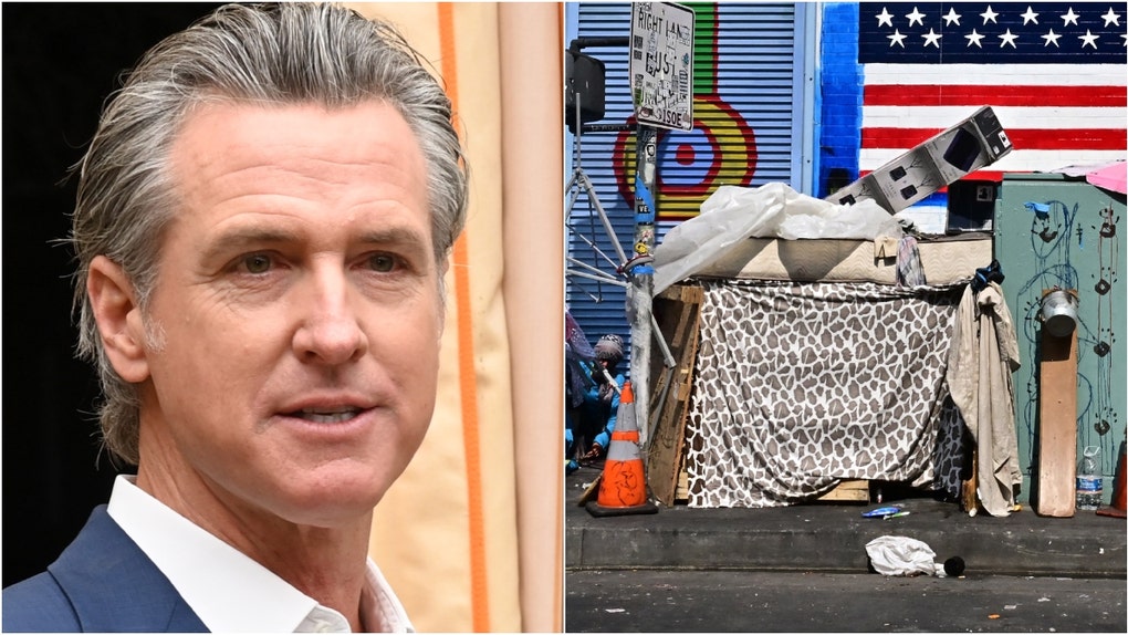 Tim Dillon roasts the state of California. (Photo by FREDERIC J. BROWN/AFP via Getty Images and Photo by Jon Kopaloff/Getty Images for Vogue)