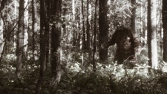 Bigfoot sightings in Ontario, Canada