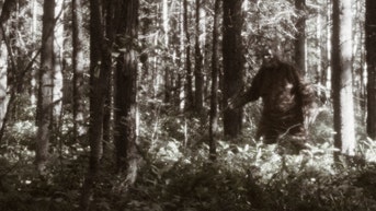 Bigfoot sightings in Ontario, Canada